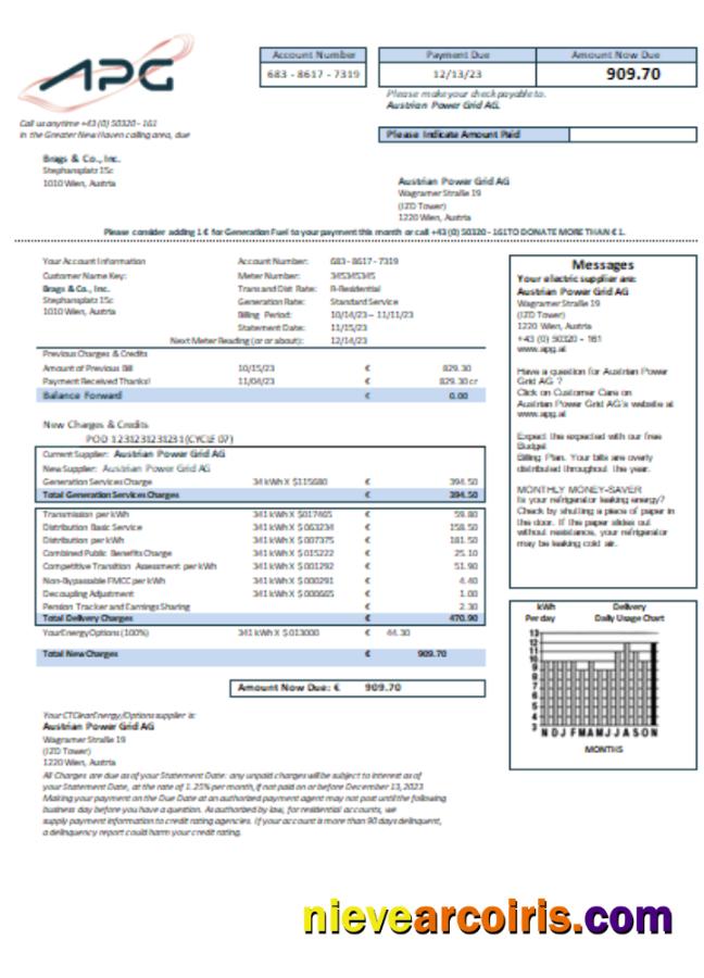Austrian Power Grid AG utility business bill